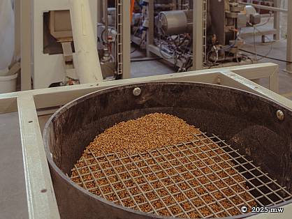 Getreide ab Feld läuft in die Reinigung